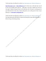 X y d ng th  ng hi u PROMEXCO th nh m t th  ng hi u m nh nh m kh ng   nh v  th  c a C ng ty tr n th  ng tr  ng