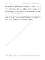 Vi t Nam gia nh p WTO C h i th m nh p th tr ng Vi t Nam c a c c t p o n b n l qu c t v m t s t c ng c a n i v i doanh nghi p trong n c