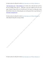 Th m nh p th tr ng M c a c ng ty Hon a