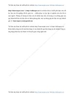 Th c tr ng c ng t c k to n b n h ng v x c nh k t qu b n h ng Chi nh nh C ng ty ng d ng KHKT v chuy n giao c ng ngh m i