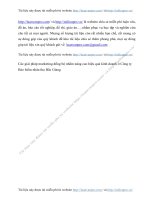 C c gi i ph p marketing ng b nh m n ng cao hi u qu kinh doanh C ng ty B o hi m nh n th B c Giang