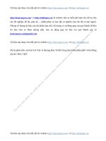 D   n ph t tri n v n ho  Tr  Vi t v  th  ng hi u Tr  B  T ng Qua k nh ph n ph i v  h  th ng QU N TR  VI T