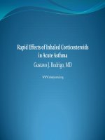 Rapid Effects of Inhaled Corticosteroids in Acute Asthma | Website Bệnh viện nhi đồng 2 - www.benhviennhi.org.vn ICS in ASTHMA