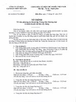 To trinh ve phuong an thanh lap trung tam thuong mai