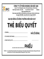 13.The bieu quyet 2017