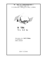 Đề tài Vi xử lí đồ hoạ