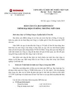 BAO CAO BAN KIEM SOAT