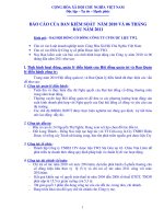 Microsoft Word - Bao Cao BKS 2010-chinh thuc