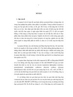 Tạo chủng vi khuẩn e  coli có khả năng sản xuất lycopene ứng dụng trong công nghệ thực phẩm 