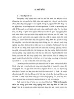 Phát triển nguồn nhân lực trong quá trình công nghiệp hóa, hiện đại hóa ở tỉnh Cao Bằng