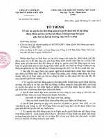 TIENLEN CORPORATION - Tập đoàn Thép Tiến Lên | Quan he co dong | Dai hoi co dong thuong nien | Tai lieu cho Dai hoi dong co dong 2015 T