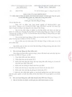 Báo cáo của Ban Kiểm soát BAO CAO BKS (1)