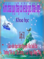 Bài 15. Phòng bệnh viêm gan A