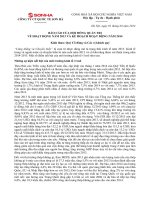 3.Bao cao HDQT 2014_SHI