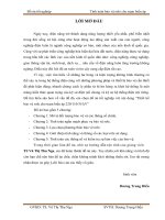 đồ án hệ thống điện   duong trung hieu