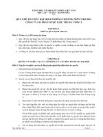 5.Quy che lam viec va bieuquyet_DTW2 (2)