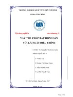 Tiểu luận môn đầu tư và tài trợ bất động sản vay thế chấp bất động sản với lãi suất điều chỉnh 