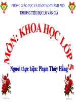 Bài 13. Phòng bệnh sốt xuất huyết