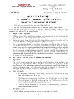 13.Quy che dai hoi 2014_SHI