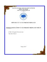 Bài dịch môn đầu tư và tài trợ bất động sản bảo lãnh và tài trợ bất động sản nhà ở 