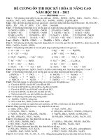 ĐỀ CƯƠNG ÔN THI HK 1 HOÁ 11 (TL)