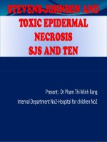 Stevens-Johnson and Toxic Epidermal Necrosis, 2016.pdf