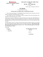 11.TT sua doi dieu le_SHI 2014