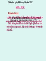 Bài 13. Phòng bệnh sốt xuất huyết