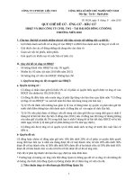 So11_Qui che bau cu tai DHCD