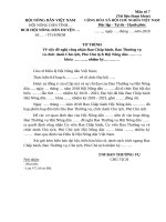 Mau 7 To trinh de nghi cong nhan BCH,BTV ...