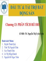 Thuyết trình môn đầu tư và tài trợ bất động sản phân tích rủi ro 