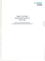 BAO CAO TAI CHINH NAM 2015