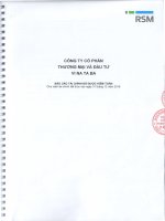 BCTC kiem toan 2016 New