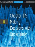 Managerial economics 3rd  by froeb ch17 