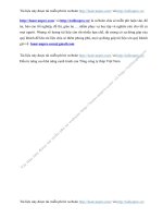 Th c tr ng v n ng l c c nh tranh v t nh h nh u t n ng cao kh n ng c nh tranh c a T ng c ng ty th p Vi t Nam