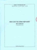 Bao cao tai chinh hop nhat quy 2 nam 2012 (truoc kiem toan)