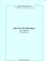 BCTC rieng quy4.2012