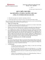 14. Quy che dai hoi 2013_SHA