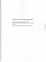 Báo cáo tài chính năm 2016 Hợp nhất - đã kiểm toán - Sơn đông áSơn đông á HDA BCTC 2016 HN