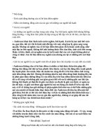 phân  tích các giá trị của cô bé bán diêm andersen