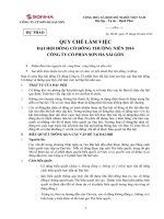 14. Quy che dai hoi 2014_SHA_r