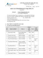 20130128 DXG Bao cao tinh hinh quan tri cong ty nam 2012