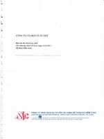 BCTC hop nhat nam 2011 TMT (da duoc kiem toan)