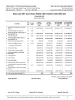 20090806-KSH-BCTC soat xet 6 thang dau nam 2009 – KSH 4. Bao cao KQHDKD