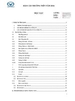 Báo cáo thường niên 2016 | CÔNG TY CỔ PHẦN CÁP NHỰA VĨNH KHÁNH