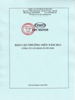 Bao cao thuong nien nam 2013