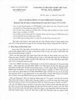 Bao cao hoat dong cua BKS