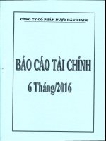 DHG BCTC Quy 2.2016   Me1