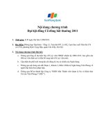 2 chuong trinh hop dhcd bat thuong tpb 2011