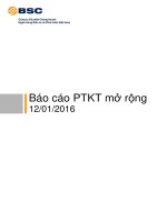 BSC   B%c3%a1o c%c3%a1o Ph%c3%a2n t%c3%adch k%e1%bb%b9 thu%e1%ba%adt m%e1%bb%9f r%e1%bb%99ng   2016.01.12   C%e1%ba%adp nh%e1%ba%adt HBC%2c VIC v%c3%a0 HAG